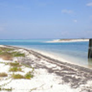 Meet your Posher, Vivek